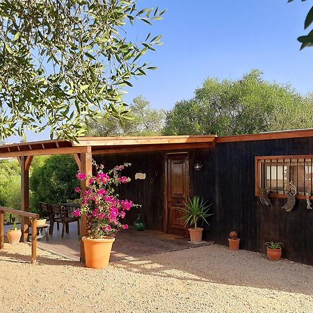 Preciosa Casa De Madera, Andalucia Prado Del Rey Exterior foto